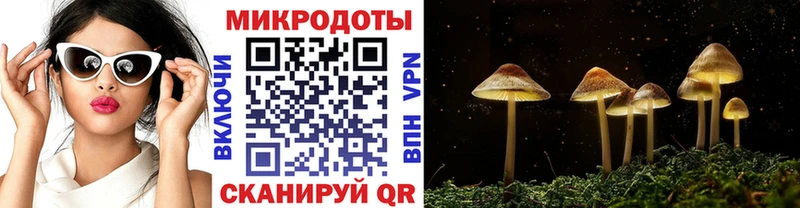 Галлюциногенные грибы MAGIC MUSHROOMS  Краснознаменск 